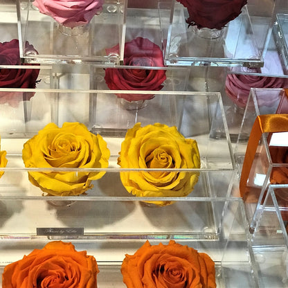 "The Rose Trio"