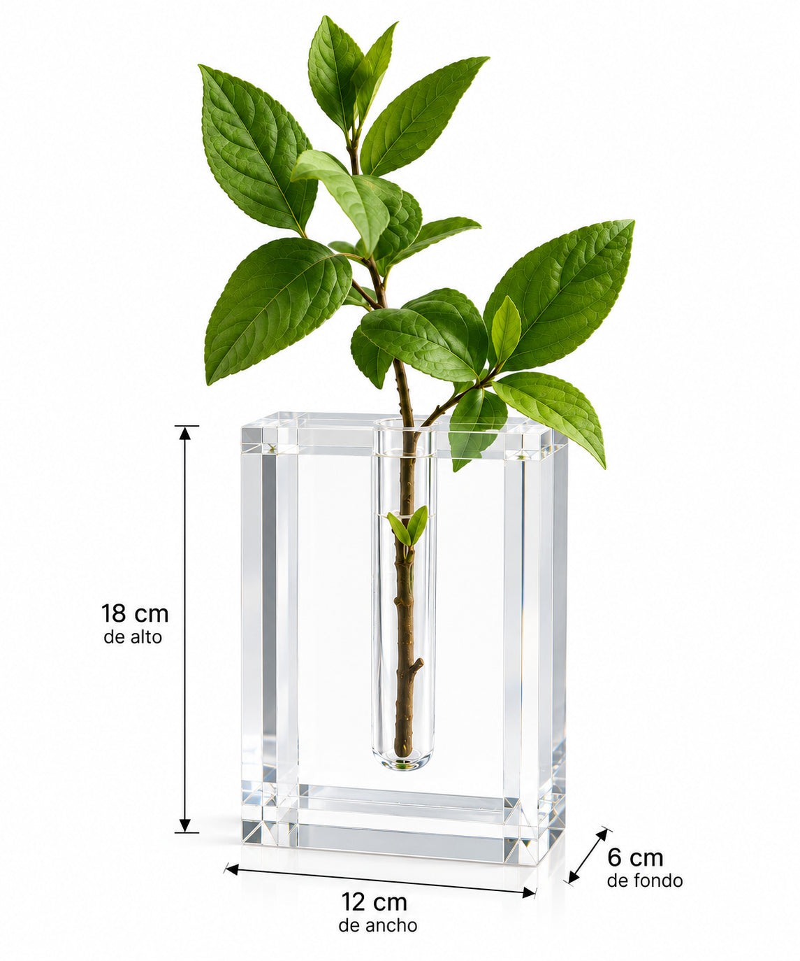 Single Stem Acrylic Flower Holder
