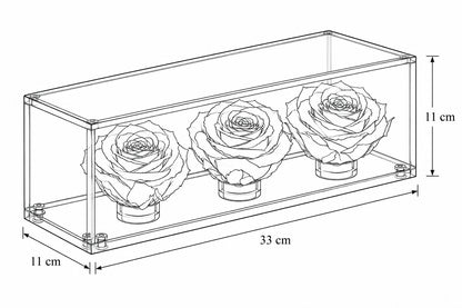 El trío de rosas fucsia