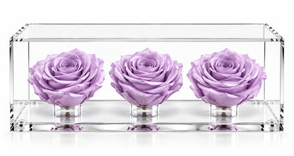 El trío de rosas fucsia