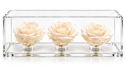 El trío de rosas fucsia