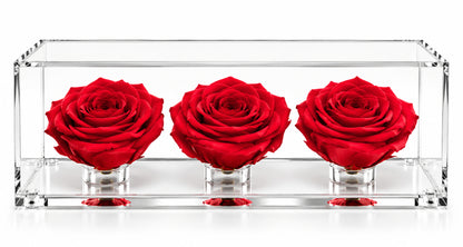 El trío de rosas fucsia