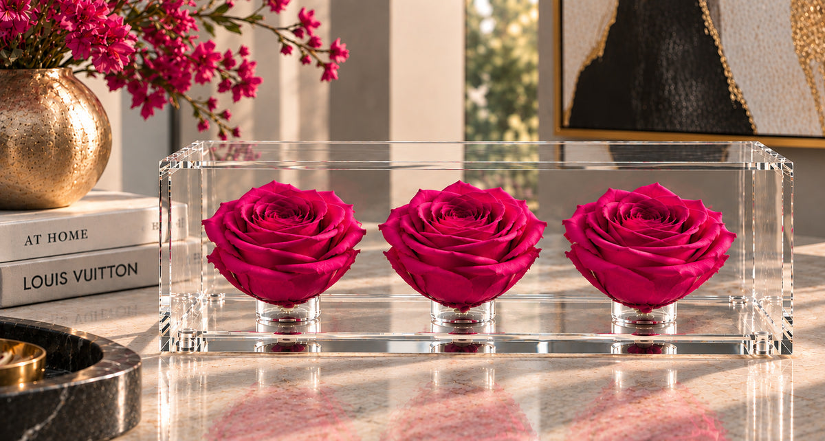 El trío de rosas fucsia