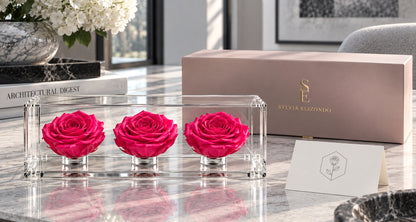 El trío de rosas fucsia