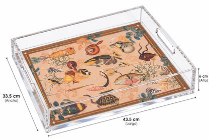 Art Edition- 9mm Acrylic Serving Tray