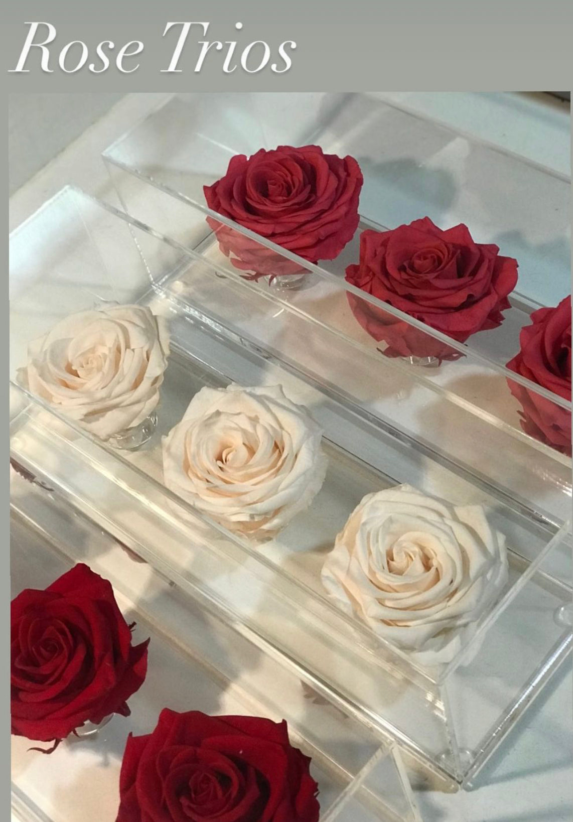 "The Rose Cube"