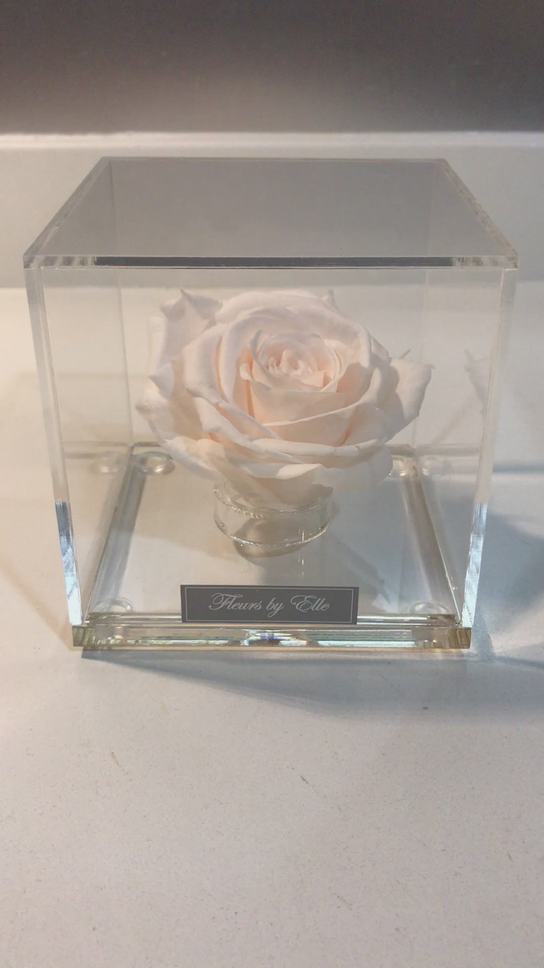 The Rose Cube - Color: Pearl