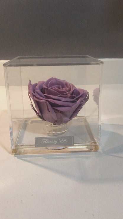 The Rose Cube - Color: Lavender