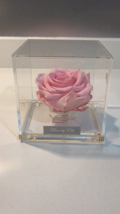 The Rose Cube - Color: Pink