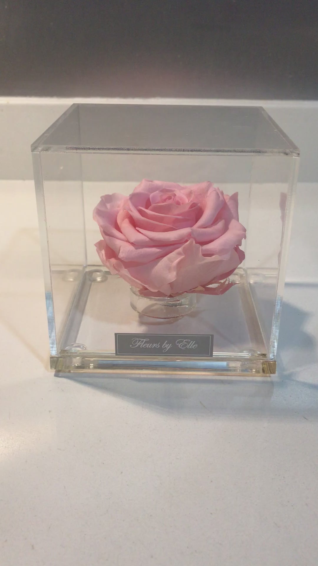 La Rosa Cubo Rosa