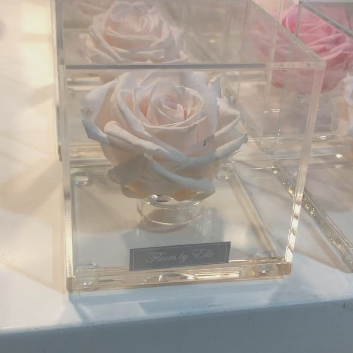 "The Rose Cube"