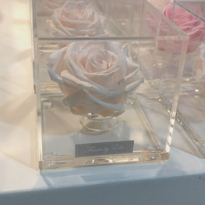 "The Rose Cube"