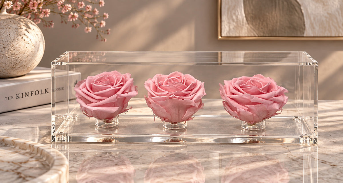 El trío de rosas fucsia